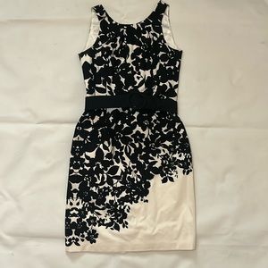 WHBM Dress